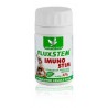 Fluxxtem Imunostim 80cps - Herbagetica