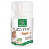 Fluxxtem Hepatic 80cps - Herbagetica