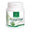 Fluxstem Energy 250ml - Herbagetica