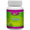 Liv Clean 60 tb - Indian Herbal