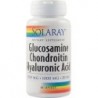 GLUCOSAMINE CHONDROITIN HYALURONIC ACID - Secom