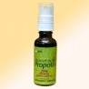 Tinctura de propolis purificat 95% spray - Apiland