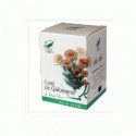 CEAI GALBENELE 20DZ - Pro Natura
