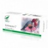 Echinacea C x 30 capsule blister - Pro Natura