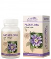 Passiflora - Dacia Plant