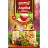Ceai Angelica radacina - Adserv